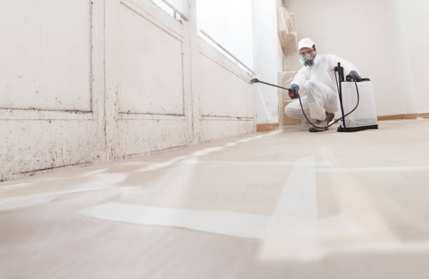 24/7 Emergency Black Mold Remediation experts in Riverdale, GA